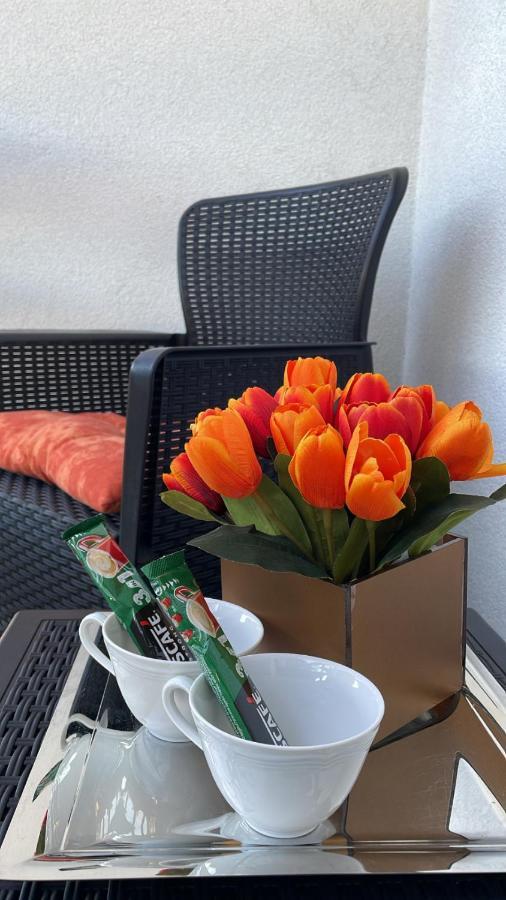 Apartman Venera Sombor Exteriér fotografie