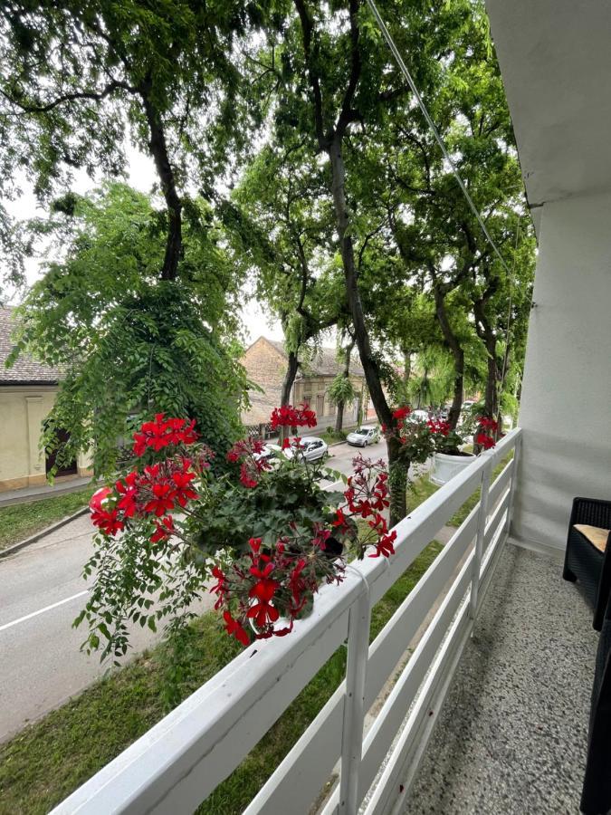 Apartman Venera Sombor Exteriér fotografie